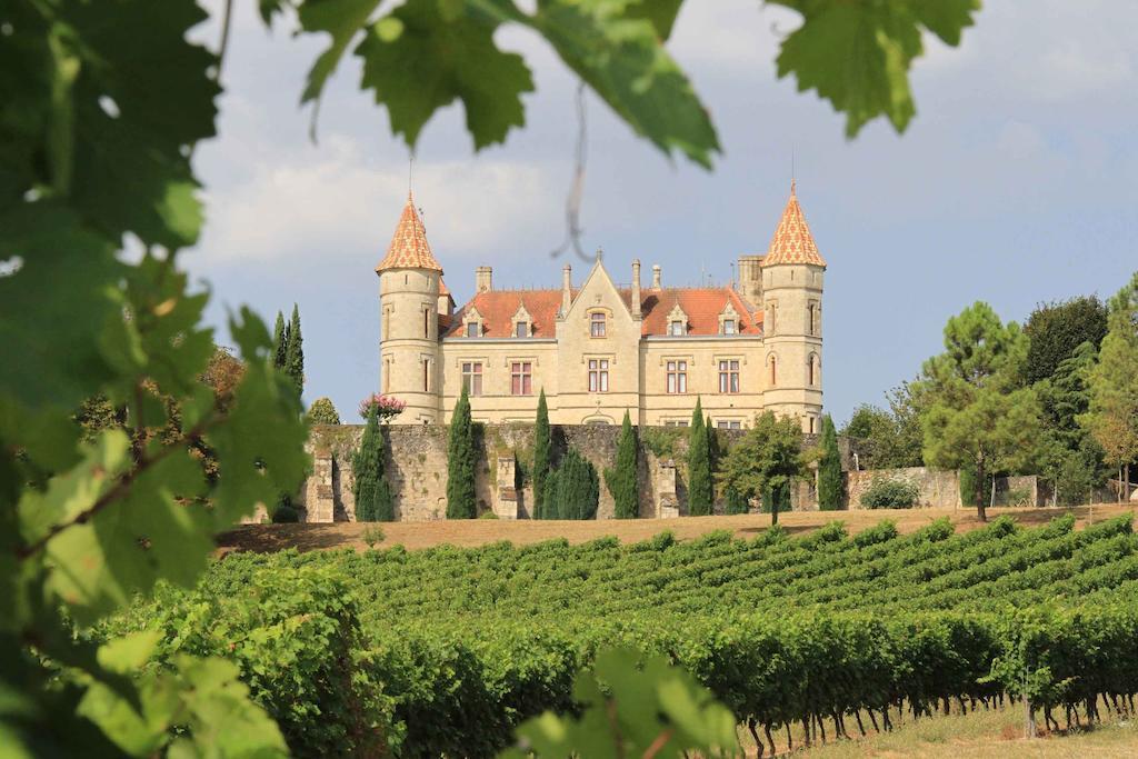 Chateau Moncassin Leyritz-Moncassin Exterior foto